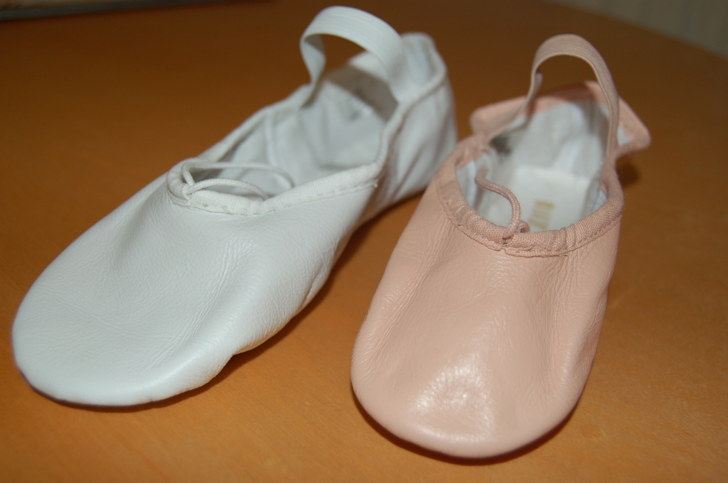 DSC_0027 Ballet shoes